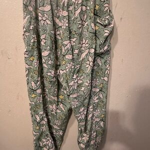 Aerie Green and Pink Floral Pants